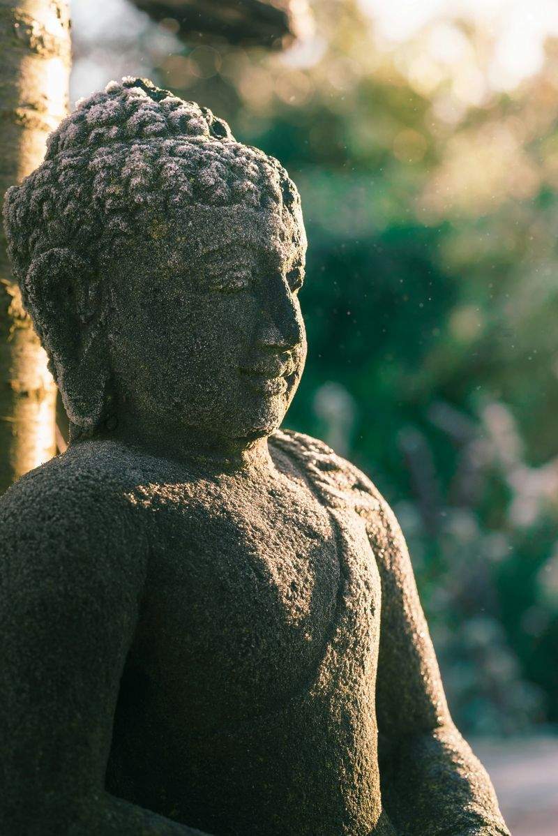Nordic Zen Yoga Studio - Image 9